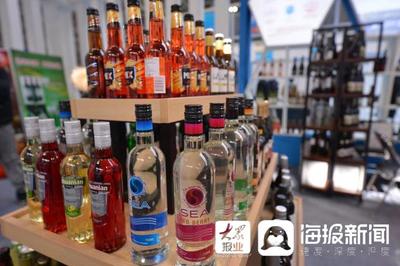 家门口“逛遍”全球 首届临沂进口商品博览会启幕，酒类经营备受瞩目